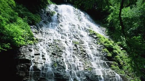 高效高性能可靠性